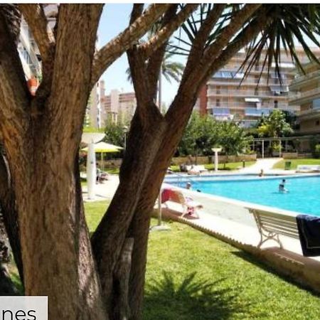 Apartamento Entero En La Playa San Juan Benacantil Alicante Exteriör bild