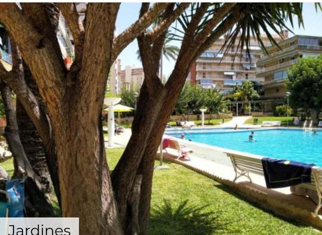 Apartamento Entero En La Playa San Juan Benacantil Alicante Exteriör bild